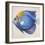 Little Fish III-Patricia Pinto-Framed Premium Giclee Print