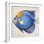 Little Fish III-Patricia Pinto-Framed Premium Giclee Print