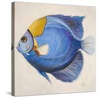 Little Fish III-Patricia Pinto-Stretched Canvas