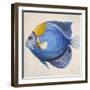 Little Fish III-Patricia Pinto-Framed Art Print