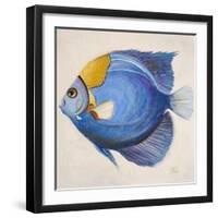 Little Fish III-Patricia Pinto-Framed Art Print