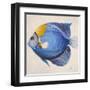 Little Fish III-Patricia Pinto-Framed Art Print