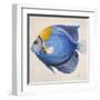 Little Fish III-Patricia Pinto-Framed Art Print