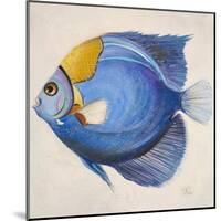 Little Fish III-Patricia Pinto-Mounted Art Print