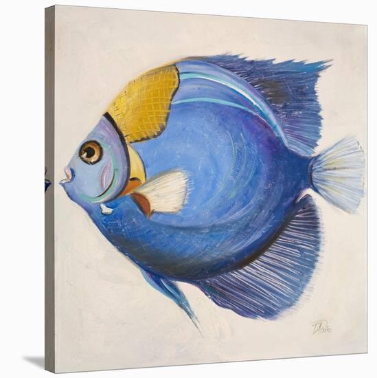 Little Fish III-Patricia Pinto-Stretched Canvas