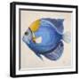 Little Fish III-Patricia Pinto-Framed Premium Giclee Print