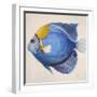 Little Fish III-Patricia Pinto-Framed Premium Giclee Print