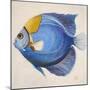 Little Fish III-Patricia Pinto-Mounted Premium Giclee Print