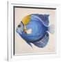 Little Fish III-Patricia Pinto-Framed Art Print