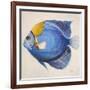 Little Fish III-Patricia Pinto-Framed Art Print