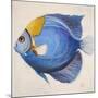 Little Fish III-Patricia Pinto-Mounted Art Print