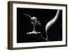 Little Flower Stand-Derek Galon, Ma,-Framed Photographic Print