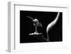 Little Flower Stand-Derek Galon, Ma,-Framed Photographic Print