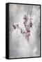 Little Flowers I-Kari Taylor-Framed Stretched Canvas