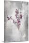 Little Flowers I-Kari Taylor-Mounted Giclee Print