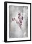 Little Flowers I-Kari Taylor-Framed Giclee Print