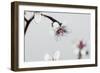 Little Flowers on Grey-Tom Quartermaine-Framed Giclee Print