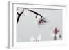 Little Flowers on Grey-Tom Quartermaine-Framed Giclee Print