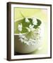 Little Flowers-Amelie Vuillon-Framed Art Print