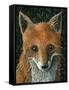 Little Fox II-Jamin Still-Framed Stretched Canvas