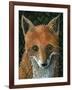 Little Fox II-Jamin Still-Framed Giclee Print