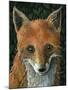 Little Fox II-Jamin Still-Mounted Giclee Print