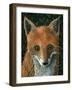 Little Fox II-Jamin Still-Framed Giclee Print