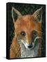 Little Fox II-Jamin Still-Framed Stretched Canvas