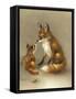 Little Fox Lost-Peggy Harris-Framed Stretched Canvas