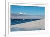 Little gentoo penguin walking on a glacier, Brown Bluff, Antarctica, Polar Regions-Michael Runkel-Framed Photographic Print