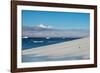 Little gentoo penguin walking on a glacier, Brown Bluff, Antarctica, Polar Regions-Michael Runkel-Framed Photographic Print