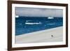 Little gentoo penguin walking on a glacier, Brown Bluff, Antarctica, Polar Regions-Michael Runkel-Framed Photographic Print