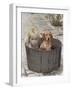 Little Girl and Dog-Nora Hernandez-Framed Giclee Print