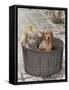 Little Girl and Dog-Nora Hernandez-Framed Stretched Canvas