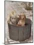 Little Girl and Dog-Nora Hernandez-Mounted Giclee Print