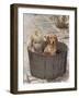 Little Girl and Dog-Nora Hernandez-Framed Giclee Print