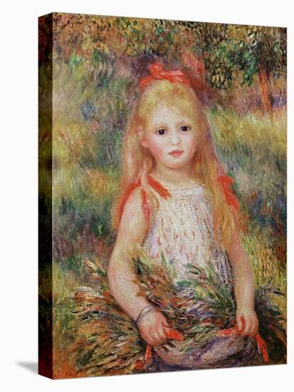 Little Girl Carrying Flowers, or the Little Gleaner, 1888-Pierre-Auguste Renoir-Stretched Canvas