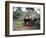 Little Girl Dressed for Church, in Front of Hut, Uganda, East Africa, Africa-D H Webster-Framed Photographic Print