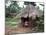Little Girl Dressed for Church, in Front of Hut, Uganda, East Africa, Africa-D H Webster-Mounted Photographic Print