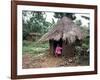 Little Girl Dressed for Church, in Front of Hut, Uganda, East Africa, Africa-D H Webster-Framed Photographic Print