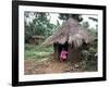 Little Girl Dressed for Church, in Front of Hut, Uganda, East Africa, Africa-D H Webster-Framed Photographic Print
