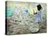 Little Girl Hanging Laundry-Nora Hernandez-Stretched Canvas