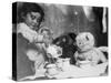 Little Girl Hosts a Tea Party, Three Bears and a Doll Attend-null-Stretched Canvas