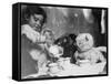 Little Girl Hosts a Tea Party, Three Bears and a Doll Attend-null-Framed Stretched Canvas