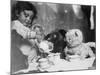 Little Girl Hosts a Tea Party, Three Bears and a Doll Attend-null-Mounted Photographic Print