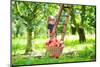 Little Girl in an Apple Garden-FamVeld-Mounted Photographic Print