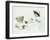 Little Girl Kneelingwith a Floral Ring on Head and Two Flowers in Front of Her-Nora Hernandez-Framed Giclee Print