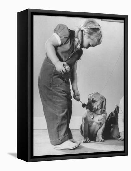 Little Girl Playing with Dog-Gjon Mili-Framed Stretched Canvas
