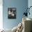 Little Girl Pushes Her Teddy Bear Around in a Pram-null-Photographic Print displayed on a wall