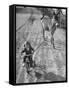 Little Girl Riding Her Tricycle, Leading Francis the Mule-Allan Grant-Framed Stretched Canvas